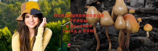 кристаллы Лагань