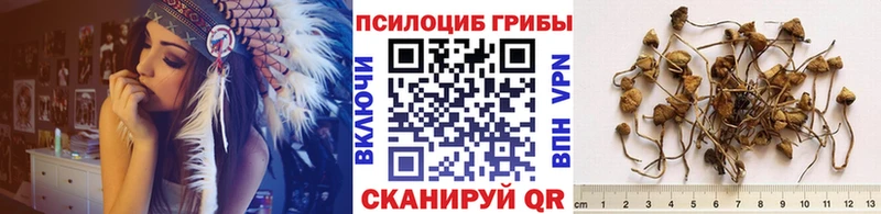 купить наркотик  Малоярославец  Галлюциногенные грибы мухоморы 